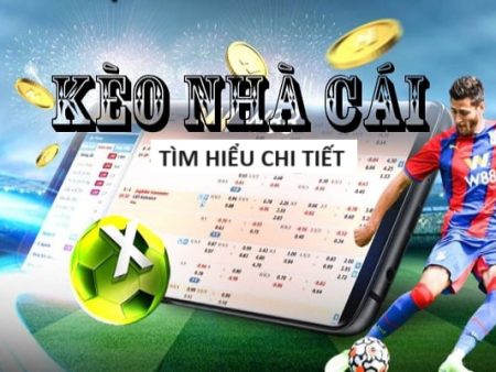 NBET-Khám phá thế giới của trận đấu – Trực tiếp bóng đá!