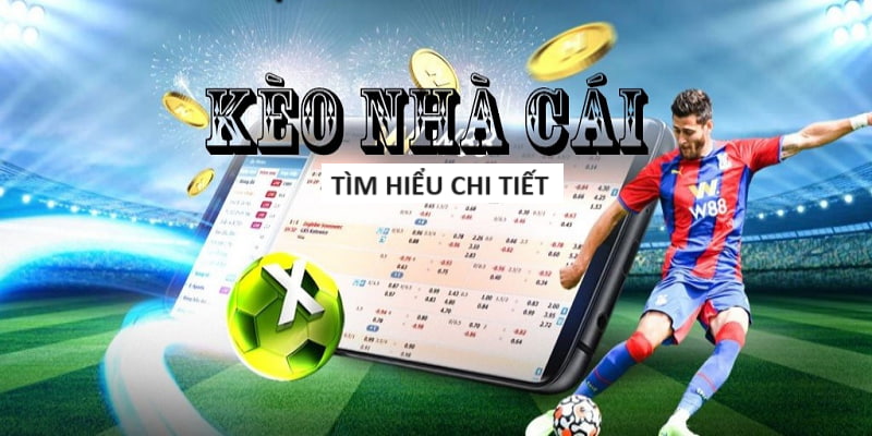 NBET-Khám phá thế giới của trận đấu - Trực tiếp bóng đá!