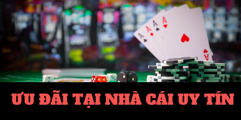 mu88 casino coi đá gà trực tiếp casino 🎰